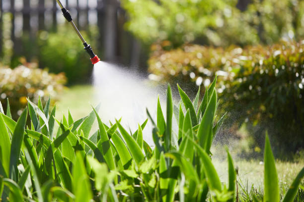 24/7 Emergency Wasp Removal experts in Hampshire, IL