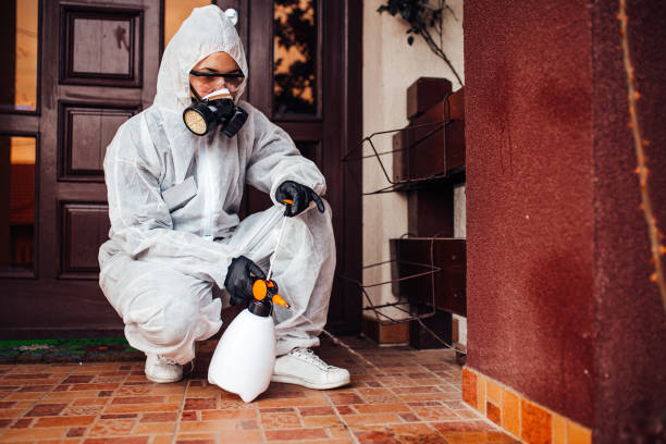 Reliable Wasp Removal contractor in Hampshire, IL by Show Me Pest Control