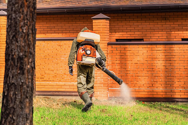 Top rated local Wasp Removal specialists in Hampshire, IL
